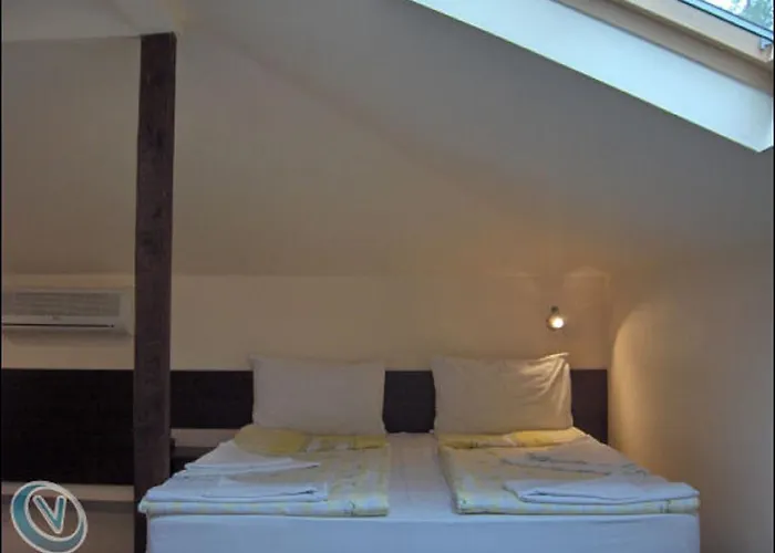 Family Phoenix קיטן